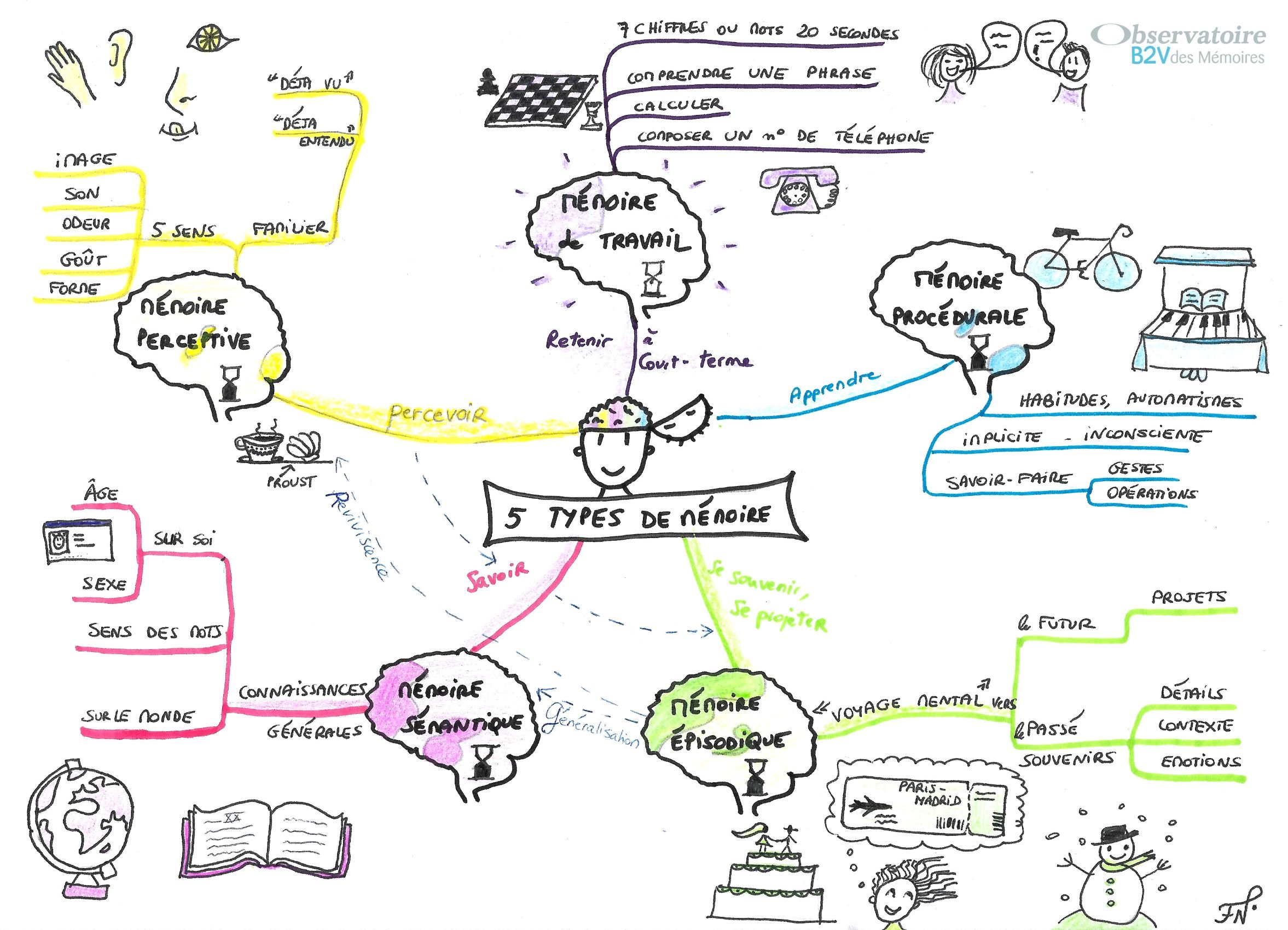 Sketchnote réalisé par un rédacteur médical de Santé Active Edition représentant nos 5 systèmes de mémoire