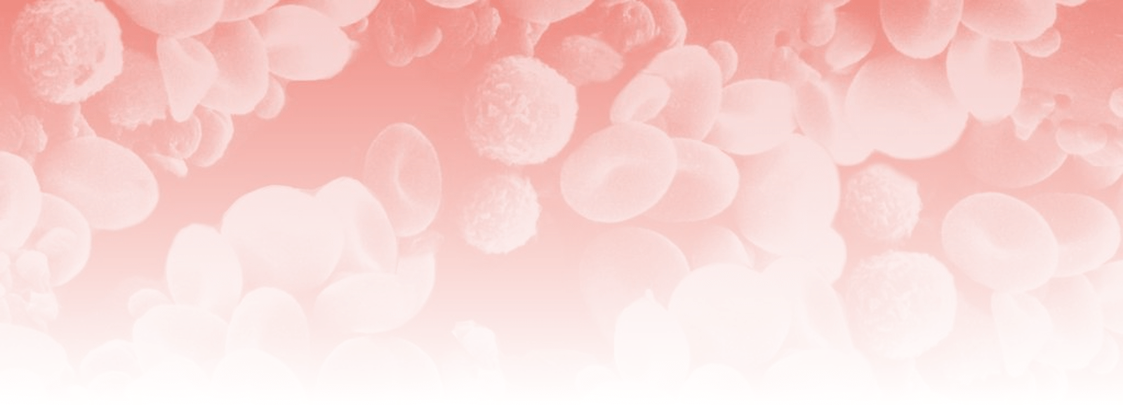 Circulation sanguine en microscopie électronique à balayage fond dégradé rose – site Santé Active Edition Synergy Pharm