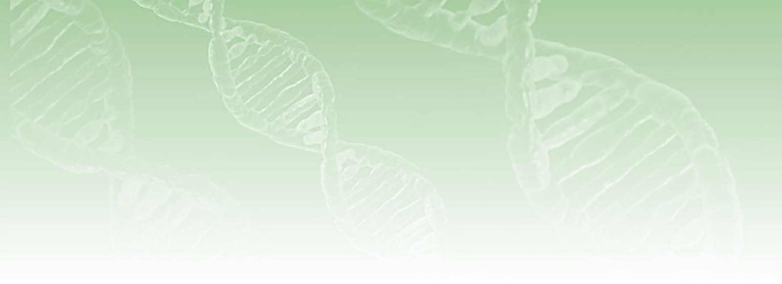 ADN vert dégradé
