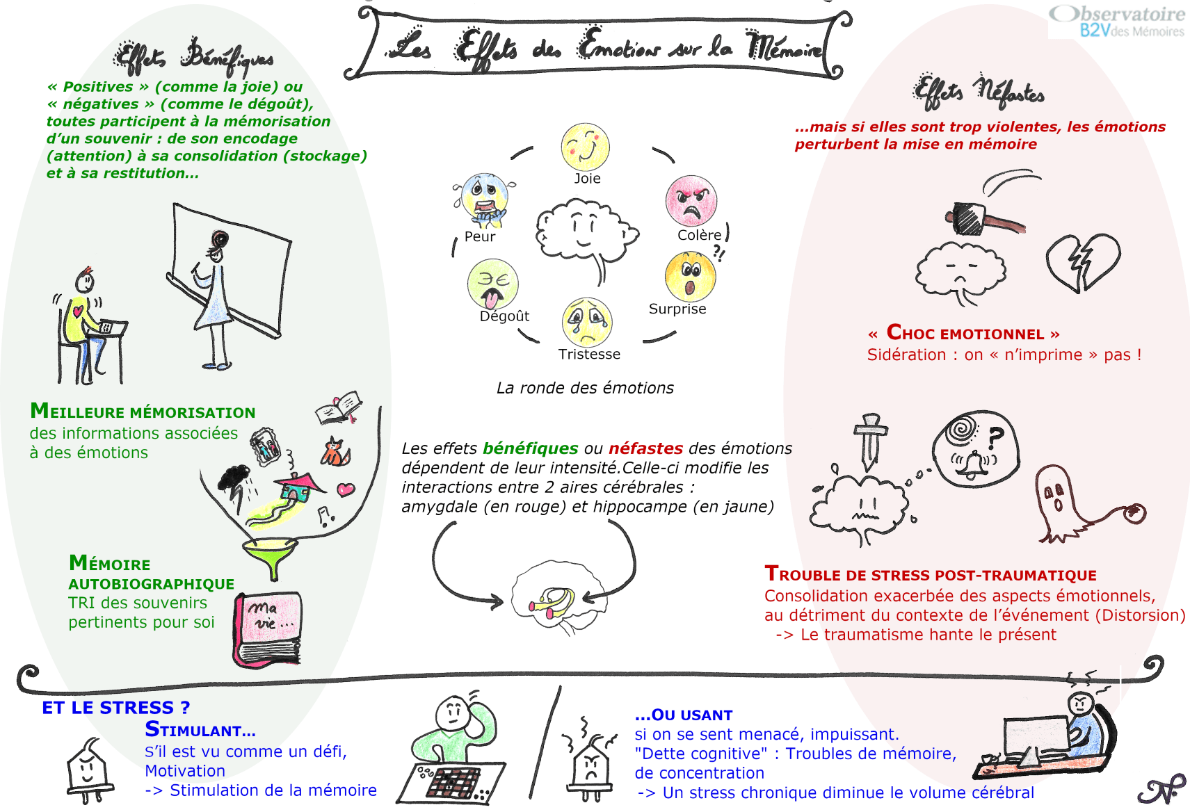 Sketchnote sur les effets bénéfiques et néfastes des émotions sur la mémoire réalisé par un rédacteur médical de Santé Active Edition