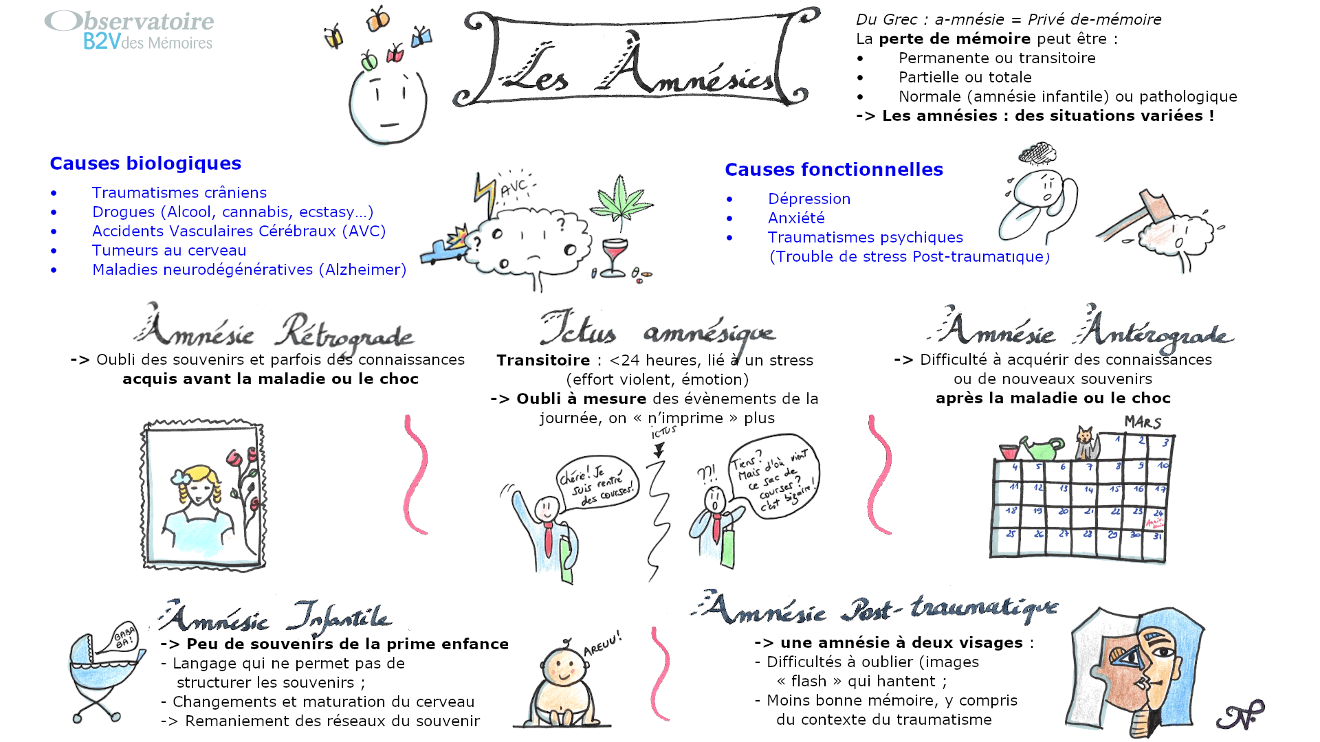 Sketchnote sur les différents types d'amnésies