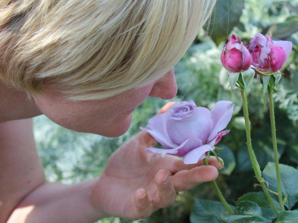 Femme sentant une rose