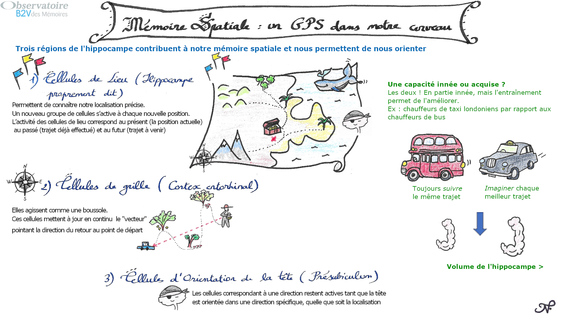 Sketchnote sur la Mémoire spatiale réalisé par un rédacteur médical de Santé Active Edition