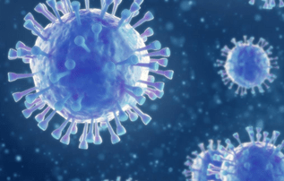 Coronavirus SARS-CoV-2 responsable de l’infection Covid-19